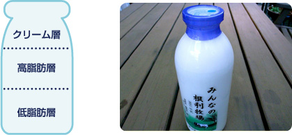 クリームラインの図