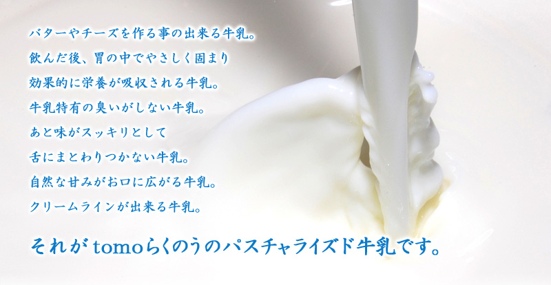 バターやチーズを作る事の出来る牛乳。飲んだ後、胃の中でやさしく固まり効果的に栄養が吸収される牛乳。牛乳特有の臭いがしない牛乳。あと味がスッキリとして舌にまとわりつかない牛乳。自然な甘みがお口に広がる牛乳。クリームラインが出来る牛乳。それがtomoらくのうのパスチャライズド牛乳です。