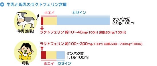 牛乳と母乳のラクトフェリン含量