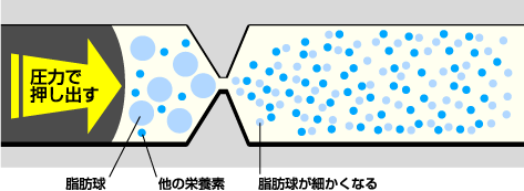 均質化（ホモジナイズ）の仕組み